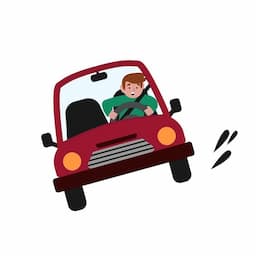Price list only car + driver
